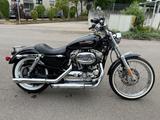 Harley-Davidson  Sportster XL 1200 C - HARLEY-DAVIDSON 2008 SPORTSTER 1200