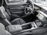 Audi Q8 50 e-tron quattro S-line Matrix+Optikpaket+B& - Audi Q8 in Dortmund