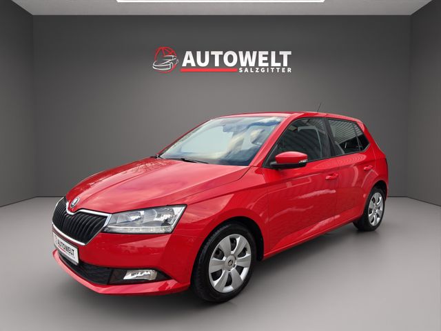 Skoda Fabia 1.0 TSI Ambition DSG MFL,SHZ,PDC,Temp.