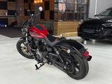 Harley-Davidson Sportster Nightster 975 - Harley-Davidson Motorräder in Braunschweig