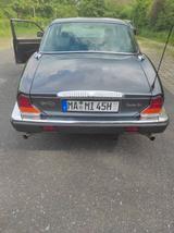 Jaguar XJ12 - Jaguar aus 1991
