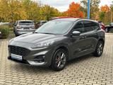 Ford Kuga ST-Line X Panorama Technologie Paket Winter - Ford Kuga Jahreswagen
