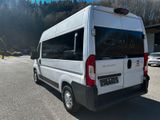 Fiat Ducato 9 Sitzer - Fiat Ducato: 9sitzer
