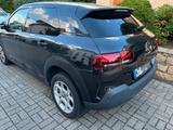 Citroën C4 Cactus PureTech 110 S&S Shine Shine - schwarze Citroën C4 Cactus