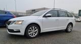 Skoda Octavia 1.6 TDI CR 90 CV Wagon Active - Skoda Octavia Active mit Diesel-Antrieb