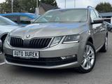 Skoda Octavia Combi DSG Navi LED ACC RüK Spur Canton - : Beige, Spurhalteassistent, Kombi