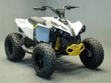 Can-Am Renegade 110 STD | keine Xxc DS 90 Kinderquad