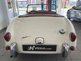 Austin Healey Sprite MK I Preis VHB - Austin Healey