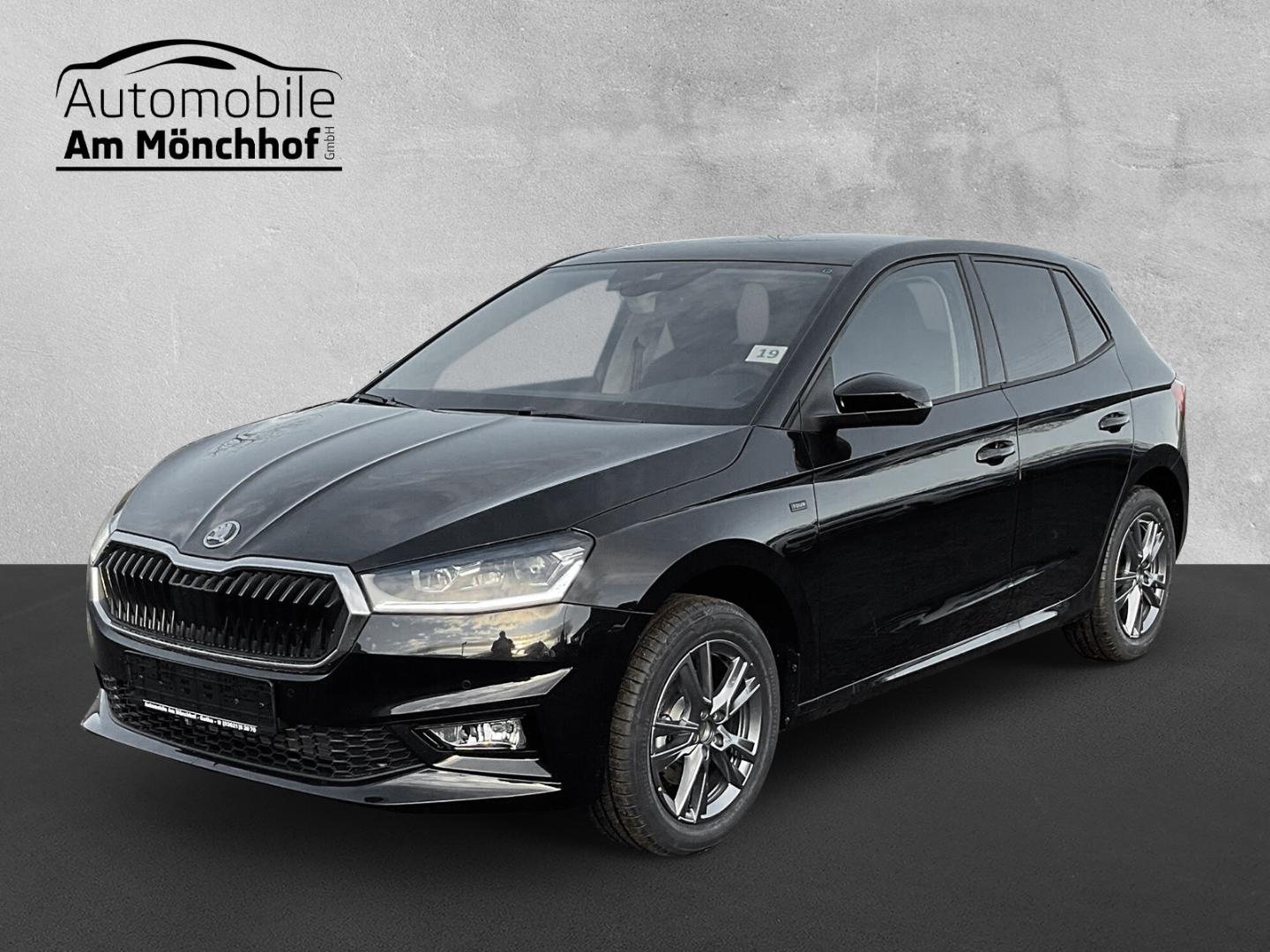 Skoda Fabia Tour LED Sperrdiff. Apple CarPlay Android 