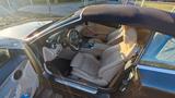 Mercedes-Benz C 180 AMG-Line  Autom. - - gebrauchte Cabrios in Pforzheim