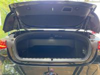 BMW M4 - Vorschau Bild 14