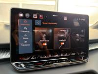 Cupra Terramar VZ 2.0 TSI DSG 4Drive PANO AHK 5J GAR bei Autohaus Landmann & Maier OHG