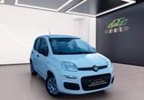 Fiat Panda 1.2 Pop*City~Allwetterber. - Fiat Panda: Pop
