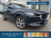 Mazda CX-30 Selection 360° LogIn BOSE MRCC Klimaaut Le