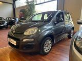 Fiat FIAT Panda 1.3 MJT 95 CV S&S Easy - Fiat Panda EASY mit Diesel-Antrieb