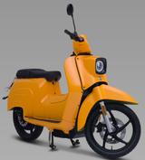 e-Schwalbe 45 km/h 2 tragbare Lithium-Akkus - E-SCHWALBE MOTORRAD