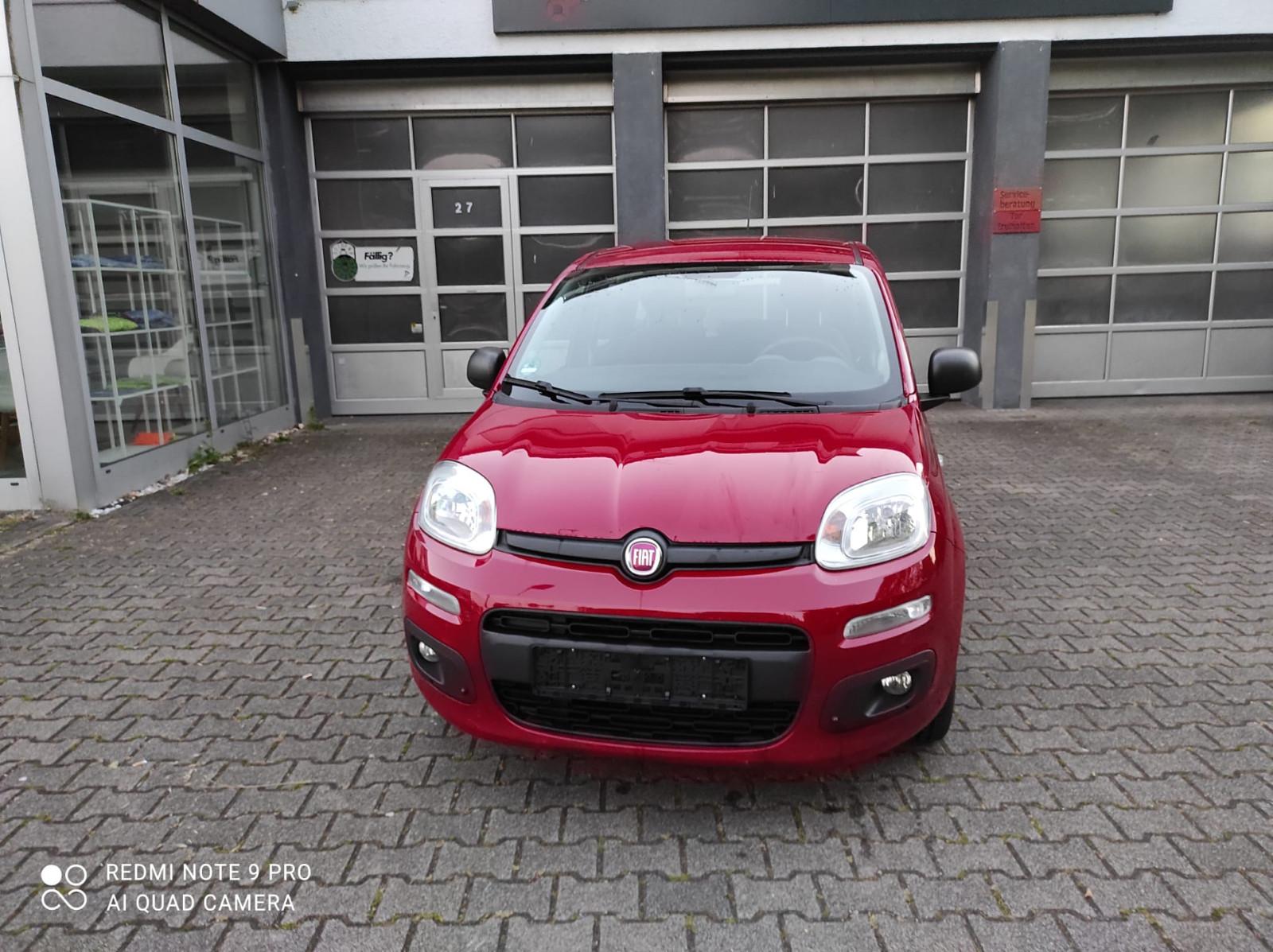 Fiat Panda Easy