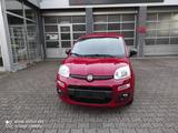 Fiat Panda Easy - gebrauchte Fiat Panda aus dem Jahr 2015