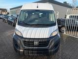 Fiat Ducato Hochr.  33 140 L2H2 3450 mm 9SITZER - Fiat Ducato: Kleinbus, Sitzer 9