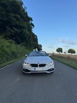 BMW 430d Cabrio / Premium Selection / H&K / NackenHz - BMW: Premium Selection