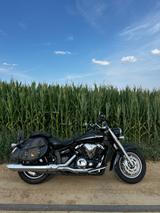 Yamaha XVS 1300A Midnight Star - YAMAHA MIDNIGHT STAR 1300