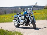 Suzuki VZ 800 Marauder 48 PS   A2 geeignet! - SUZUKI MARAUDER 800