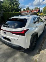 Lexus UX 250h Amazing Edition - Lexus Gebrauchtwagen von 2020