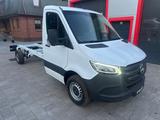 Mercedes-Benz Sprinter 317 cdi - LKW bis 3,5t