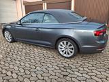 Audi A5 Cabriolet quattro design - mit Hybrid-Antrieb: Roadster