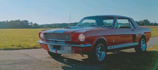 Ford Mustang 1966 V8 Weihnachtsschnäppchen