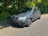 Fiat Punto 3-Türer Klima Servo Ganzjahresr... - Fiat Punto in Leverkusen