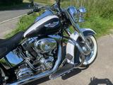 Harley-Davidson Softail deluxe FLSTN - Offers