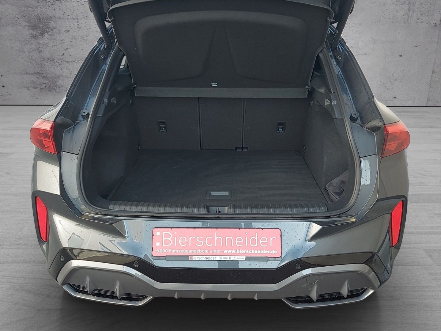 Cupra Terramar - Bild 18