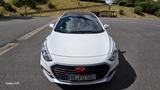 Hyundai i30 1.6 T GDI Turbo Turbo - Hyundai i30 Turbo mit Benzin-Antrieb