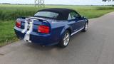 Ford Mustang GT Cabrio 4,6l V8 - Schaltgetriebe - Ford Mustang aus 2008: V6