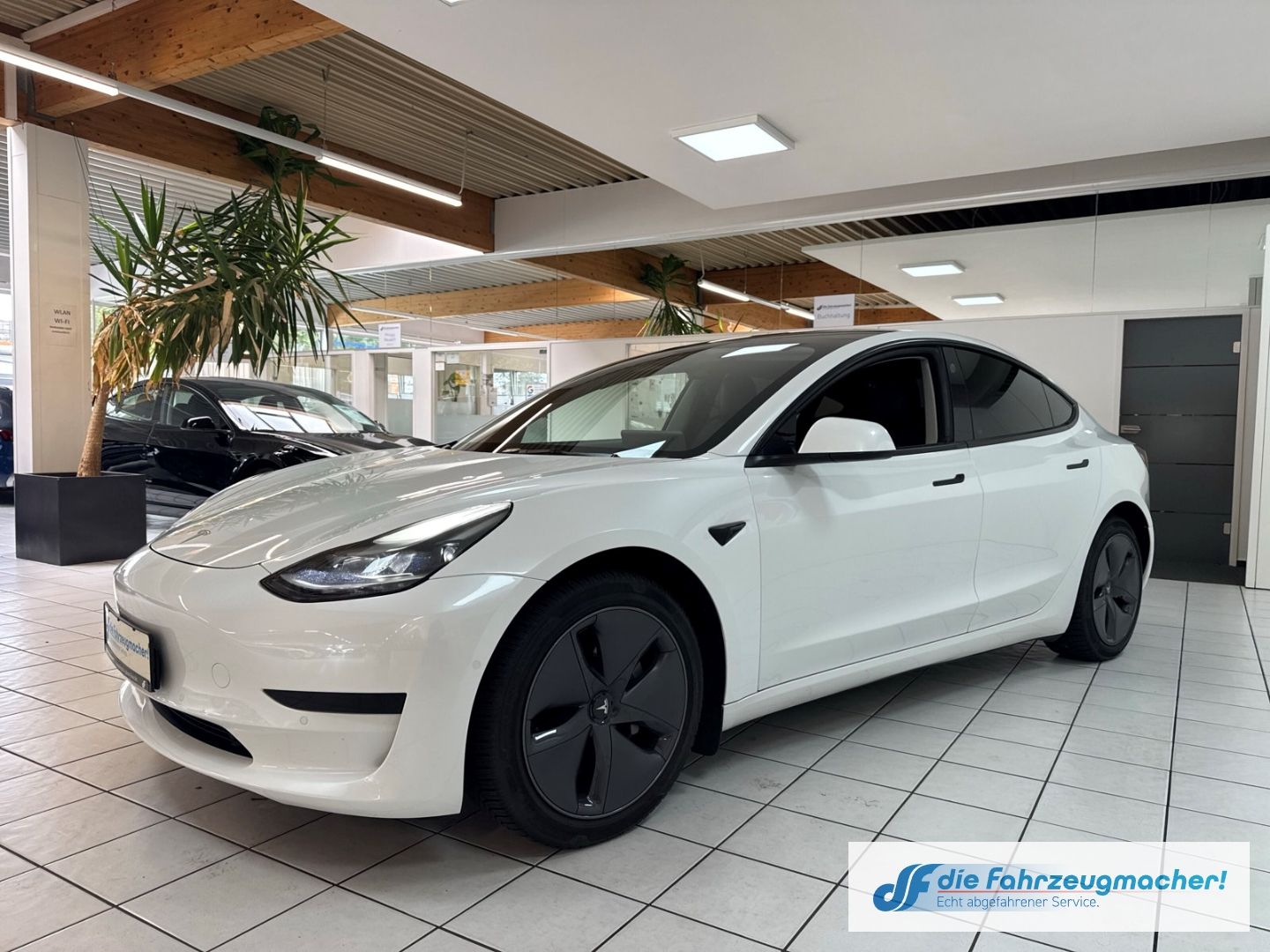 Fahrzeugabbildung Tesla Model 3 Basis RWD Soundsystem ACC El. Heckklappe