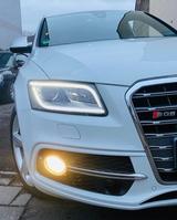 Audi SQ5 TDI 3.0 quattro - 290€ FINANZIERUNG -TOP AUS - Audi SQ5 in Bonn