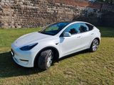 Tesla Model Y Long Range Dual Motor AWD Long Range - Tesla Model Y aus 2023