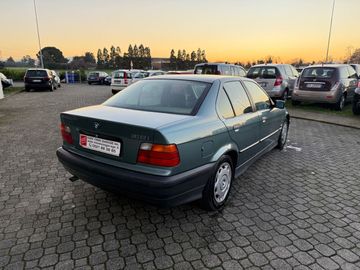 BMW 316 - 4