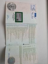 Alfa Romeo Giulietta - Alfa Romeo 145