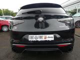 Alfa Romeo Stelvio COMPETIZIONE Q4 2.0 TURBO 280PS NAVI HAR - gebrauchte Alfa Romeo Stelvio aus dem Jahr 2023