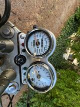 Suzuki VX 800 - Angebote