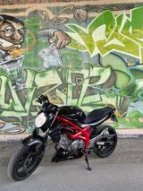 Suzuki SFV 650 Gladius A2, LED, Bugspoiler - Offers matching your search criteria
