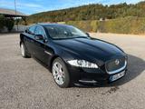 Jaguar XJ Portfolio 3.0 V6 Diesel S Portfolio 8fach - Jaguar XJ Portfolio mit Diesel-Antrieb