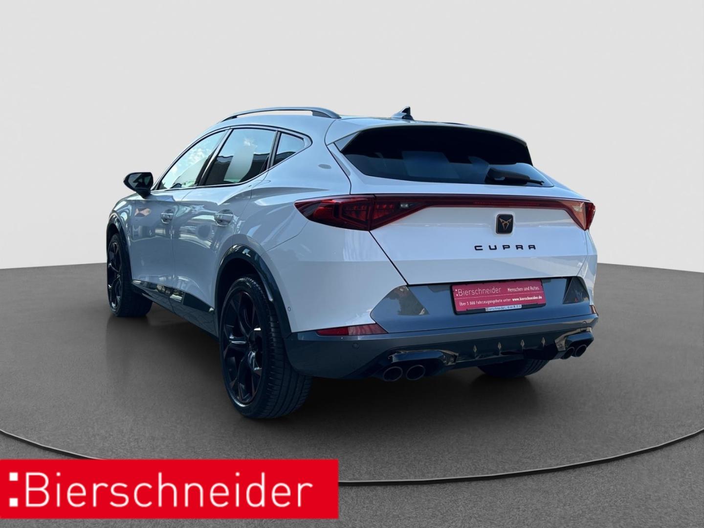 Cupra Formentor 2.0 TSI DSG 4Dr. VZ DCC BEATS MEMORY, миниатюра 8
