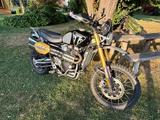 Triumph Scrambler 1200 XE Showcase Sondermodell - TRIUMPH SCRAMBLER