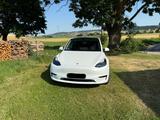 Tesla Model Y Hinterradantrieb RWD  - Tesla Model Y: Rwd