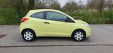 Ford Ka Concept*TÜV-NEU*KLIMA* - Ford: Grün, Ka