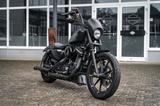 Harley-Davidson XL883N - Iron 883 Falcon Auspuff- Progressive Su - HARLEY-DAVIDSON IRON 883