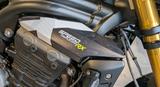 Triumph SPEED TRIPLE 1200 RX Limited Edition - MOTORRAD 1200